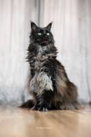 Alena GUIGNABODET - NA MOON PICTURES